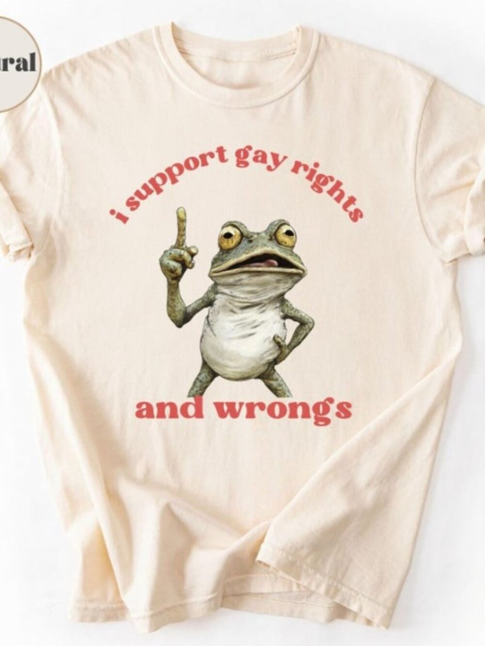 I support Gay Rights and Wrongs Tee, Funny Frog meme LGBT Ally shirt